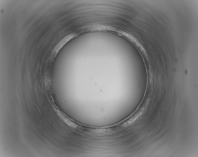 X0000079310897200612151749