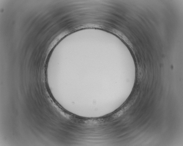 X0000079310898200612151749