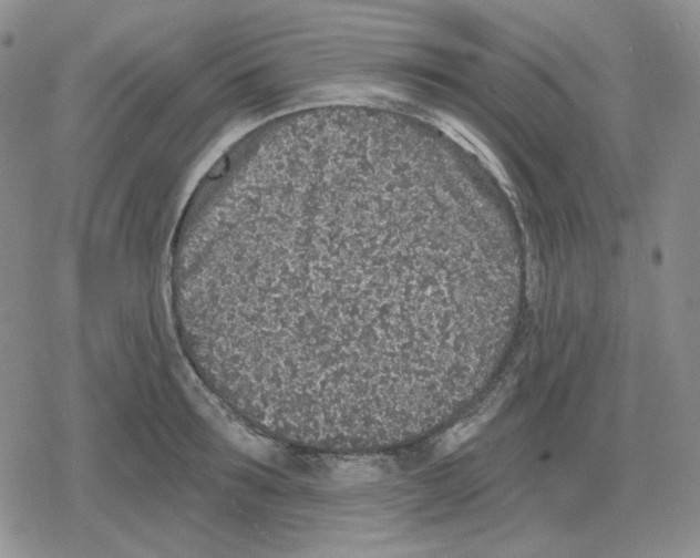 X0000079310899200612151749