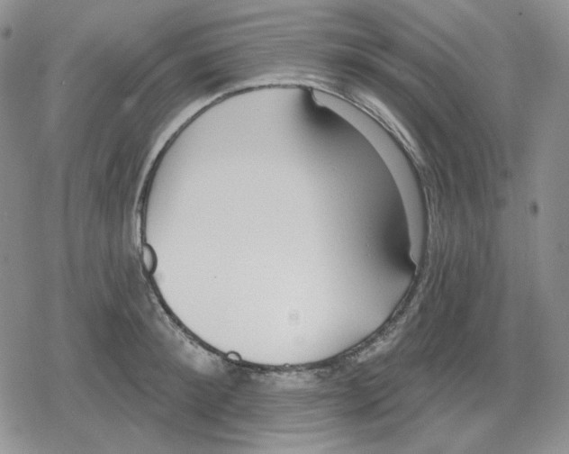 X0000079310900200612151749