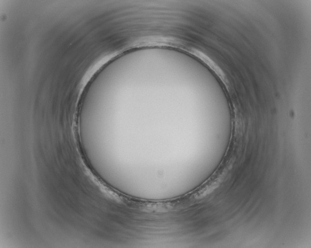 X0000079310901200612151749