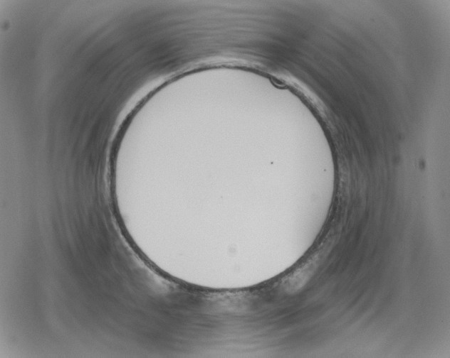 X0000079310902200612151749