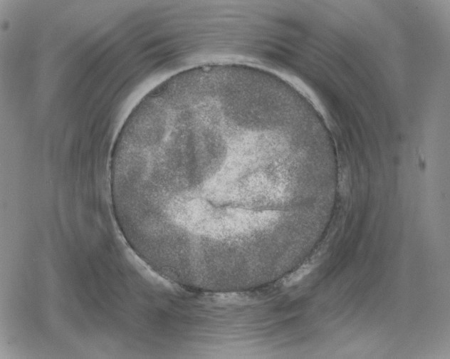 X0000079310903200612151749