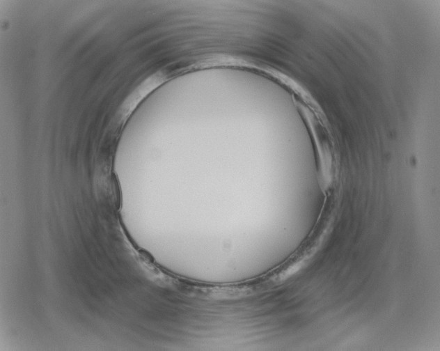 X0000079310905200612151749