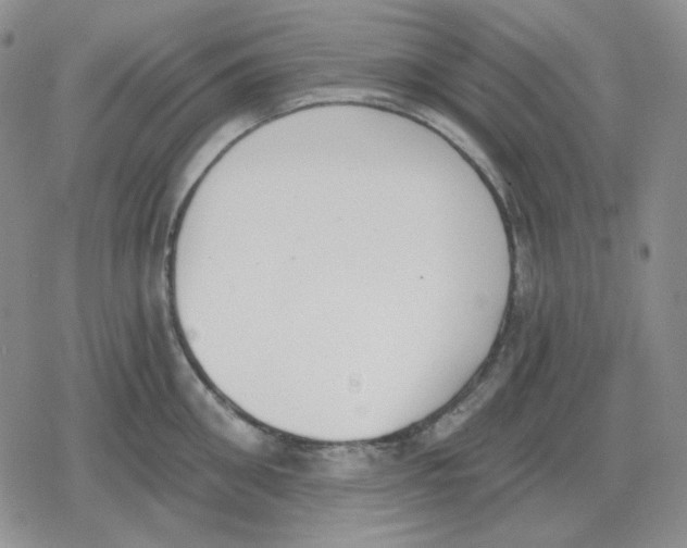 X0000079310906200612151749