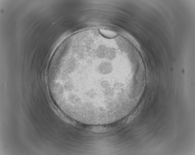 X0000079310907200612151749