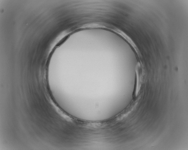 X0000079310909200612151749