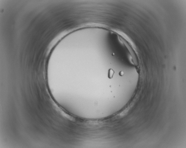 X0000079310910200612151749