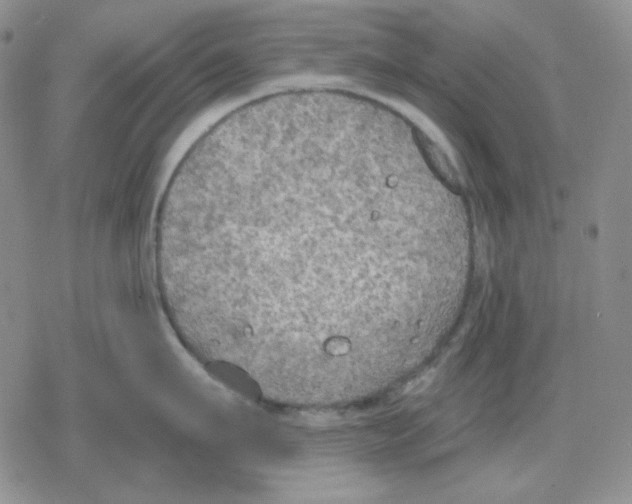 X0000079310911200612151749