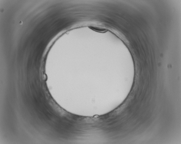 X0000079310912200612151749