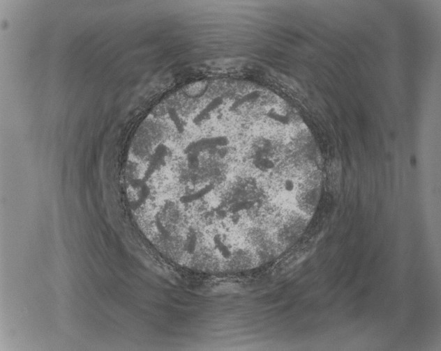 X0000079310913200612151748