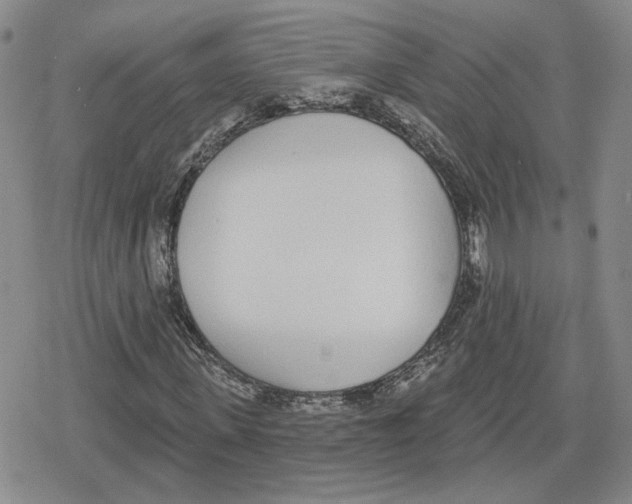 X0000079310915200612151748