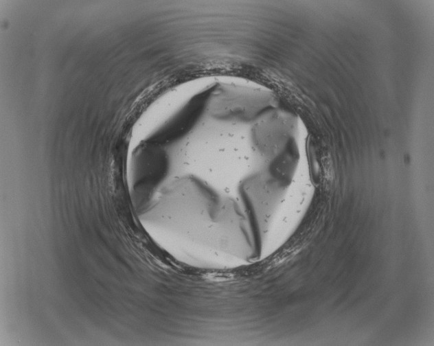 X0000079310916200612151748