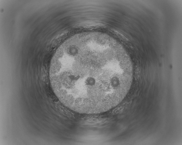 X0000079310917200612151748