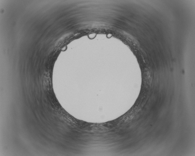 X0000079310918200612151748