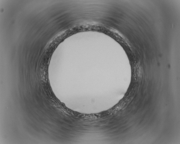 X0000079310919200612151748