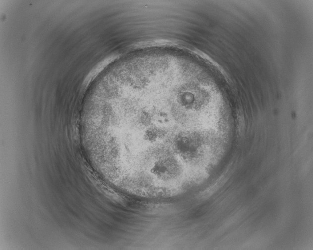 X0000079310921200612151748