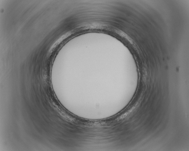 X0000079310922200612151748