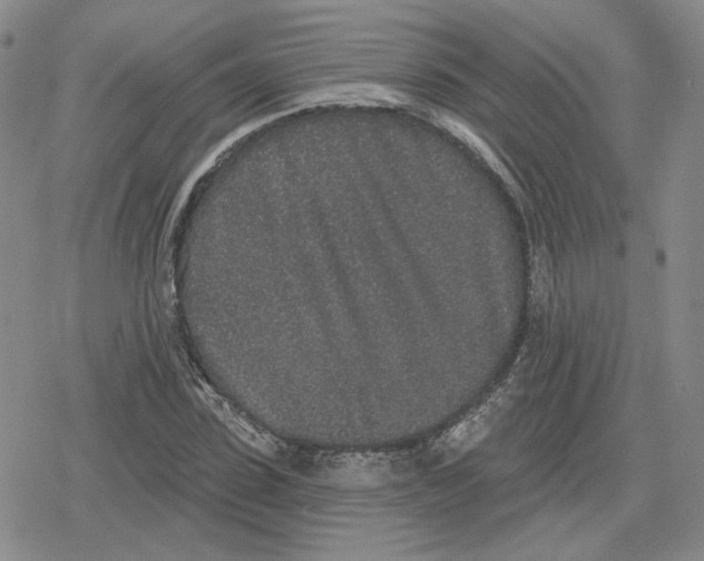 X0000079310923200612151748