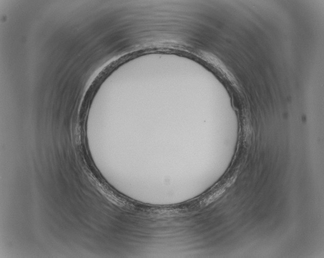 X0000079310924200612151748