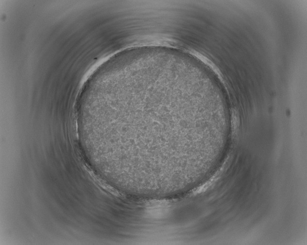 X0000079310925200612151748