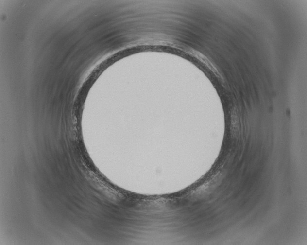 X0000079310926200612151748