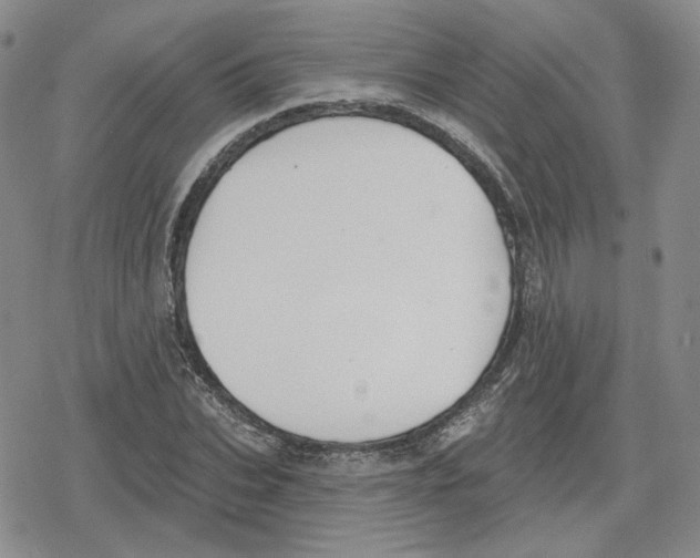 X0000079310927200612151748