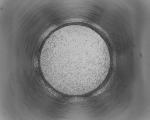 X0000079310929200612151748