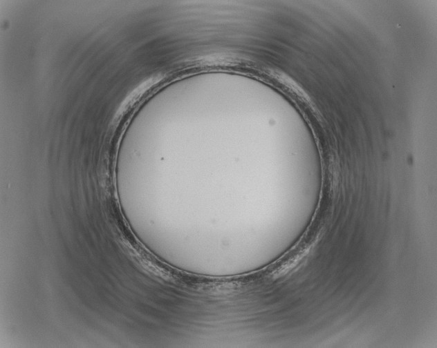 X0000079310930200612151748