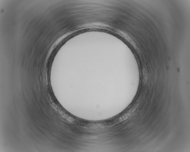 X0000079310931200612151748