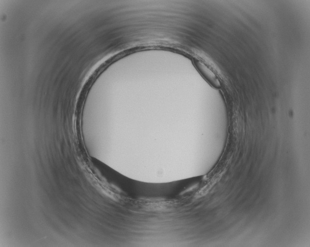 X0000079310932200612151748