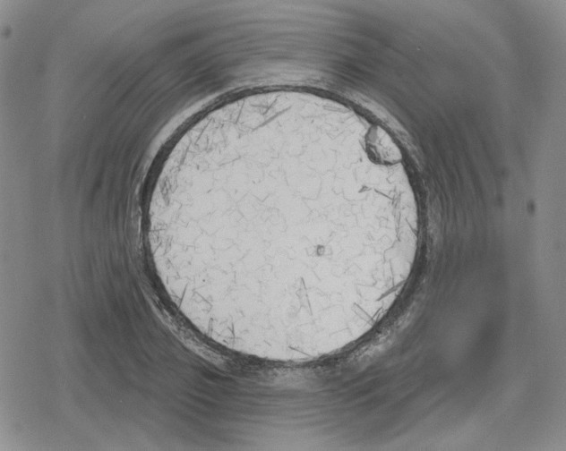 X0000079310933200612151748