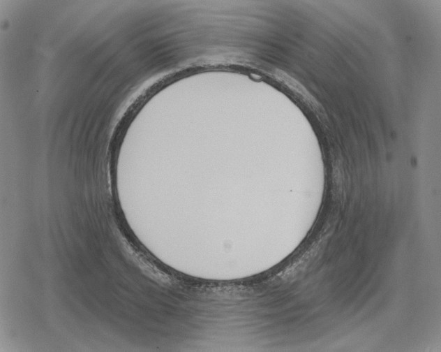 X0000079310934200612151748