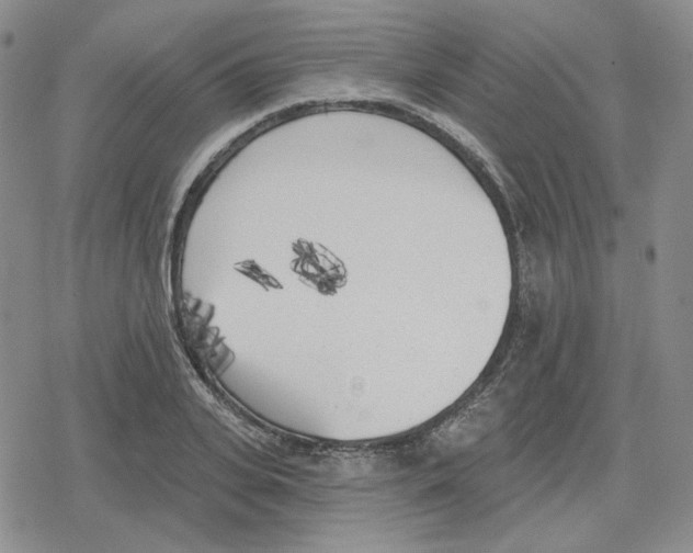 X0000079310935200612151748