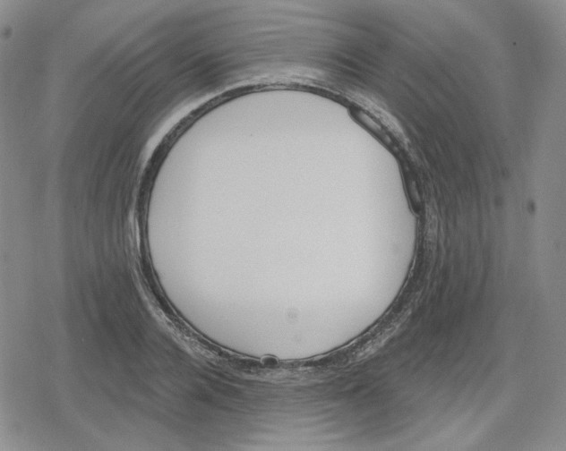 X0000079310936200612151748