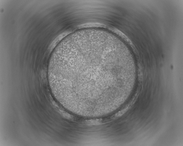 X0000079310937200612151748