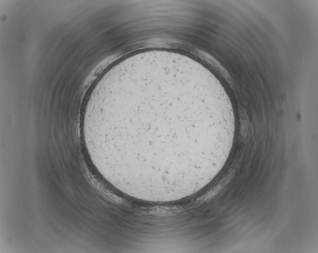 X0000079310938200612151748