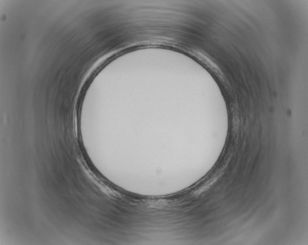 X0000079310940200612151748