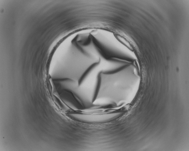 X0000079310944200612151749