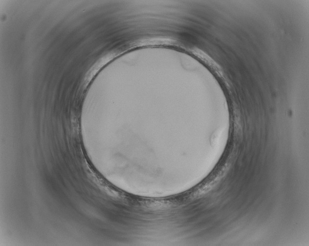 X0000079310945200612151749