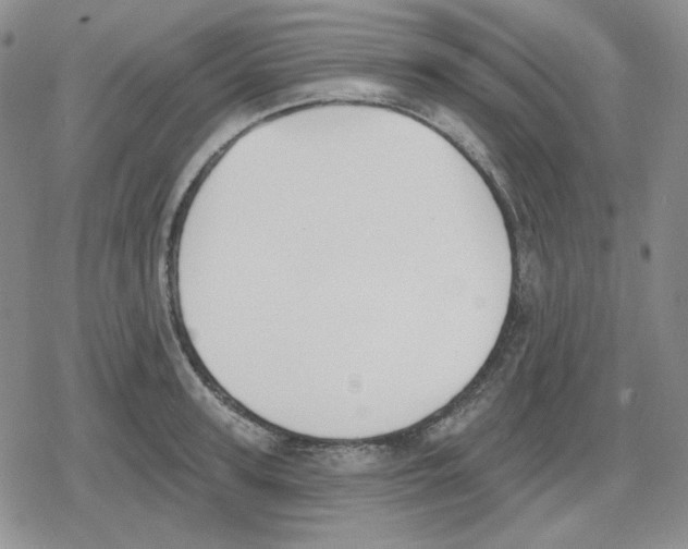 X0000079310947200612151749