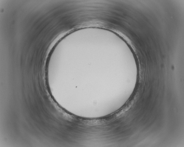 X0000079310949200612151749