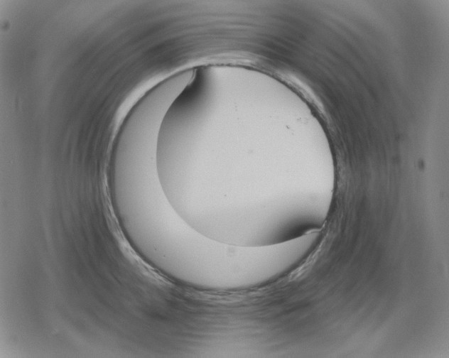 X0000079310952200612151749