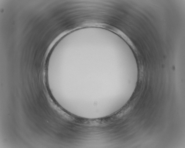 X0000079310955200612151749