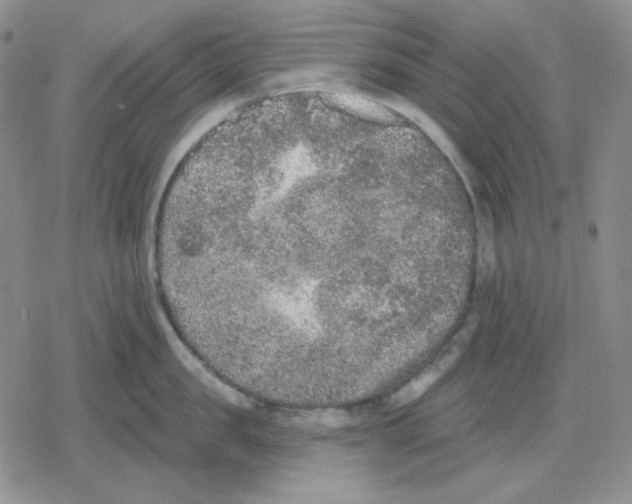 X0000079310957200612151749