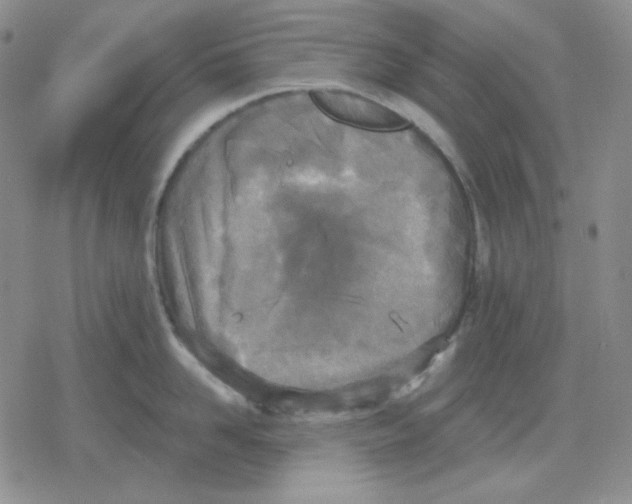 X0000079310958200612151749