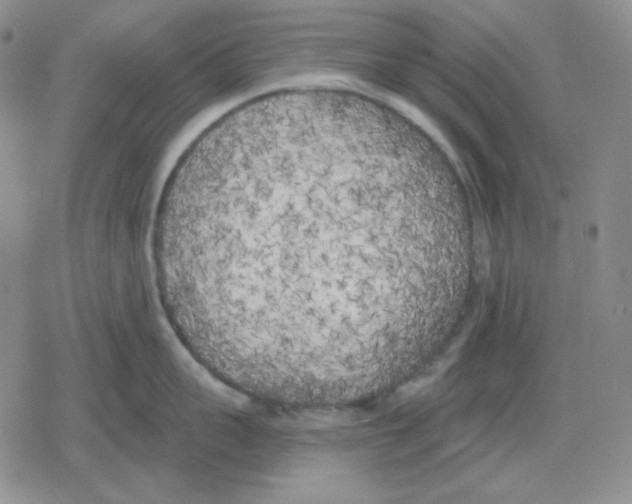 X0000079310959200612151749