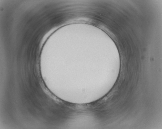 X0000079310960200612151749