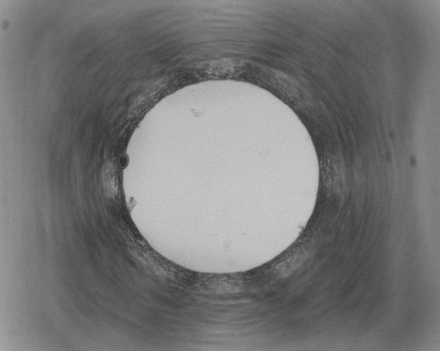 X0000079310962200612151748