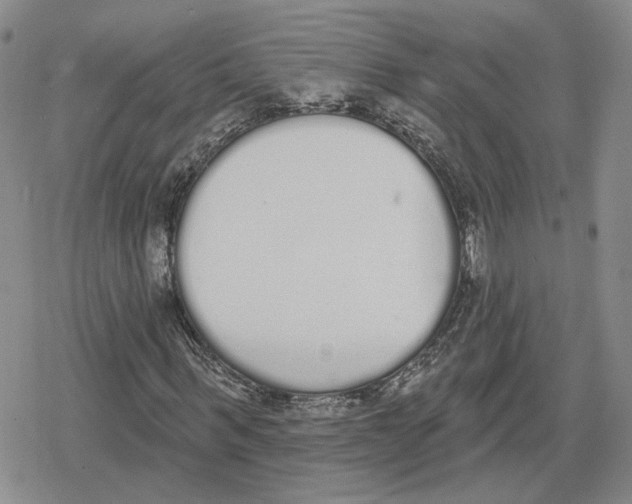 X0000079310963200612151748